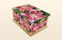 Pink Stargazer Ashes Casket
